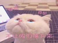 海口秀英区颖益臻选电子商务商行