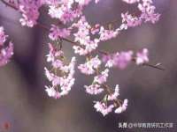 海口秀英区颖益臻选电子商务商行