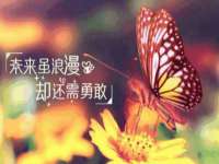 海口秀英区颖益臻选电子商务商行