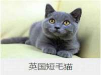 海口秀英区颖益臻选电子商务商行