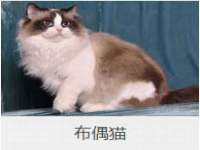海口秀英区颖益臻选电子商务商行
