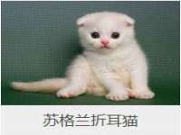 海口秀英区颖益臻选电子商务商行