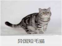 海口秀英区颖益臻选电子商务商行