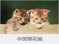 海口秀英区颖益臻选电子商务商行