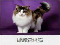 海口秀英区颖益臻选电子商务商行