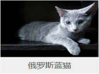 海口秀英区颖益臻选电子商务商行