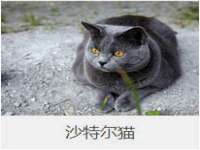 海口秀英区颖益臻选电子商务商行