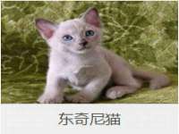 海口秀英区颖益臻选电子商务商行