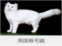 海口秀英区颖益臻选电子商务商行