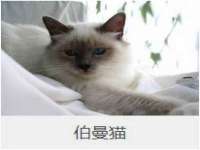 海口秀英区颖益臻选电子商务商行