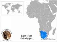 海口秀英区颖益臻选电子商务商行