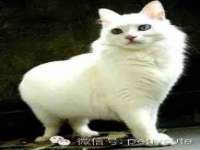 海口秀英区颖益臻选电子商务商行