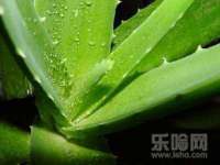 海口秀英区颖益臻选电子商务商行