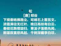 海口秀英区颖益臻选电子商务商行