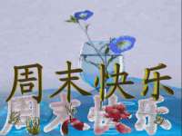 海口秀英区颖益臻选电子商务商行