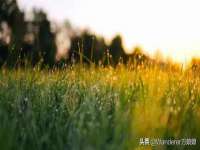 海口秀英区颖益臻选电子商务商行