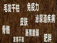 海口秀英区颖益臻选电子商务商行