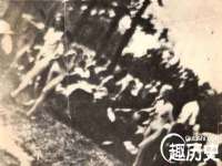 海口秀英区颖益臻选电子商务商行