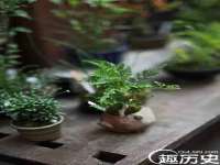 海口秀英区颖益臻选电子商务商行