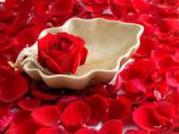 海口秀英区颖益臻选电子商务商行