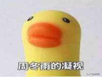 海口秀英区颖益臻选电子商务商行