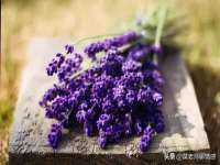 海口秀英区颖益臻选电子商务商行